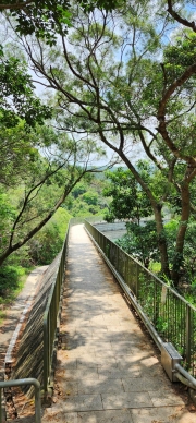 Thumbnail of pic_Si9_023.jpg