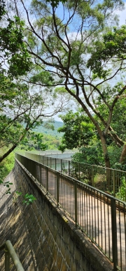 Thumbnail of pic_Si9_024.jpg