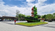 Thumbnail of pic_Derek_Wong_043.jpg