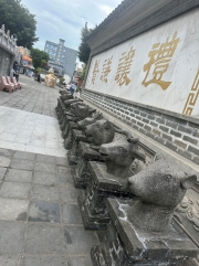 Thumbnail of pic_TB_Tung_008.jpg