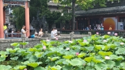 Thumbnail of pic_WaiG_025.jpg