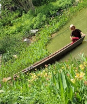 Thumbnail of pic_WaiG_067.jpg
