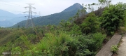 Thumbnail of pic_Mingle_Tam_006.jpg