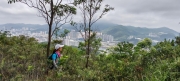 Thumbnail of pic_Cindy_Tse_005.jpg