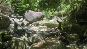 Thumbnail of pic_Loong_023.JPG