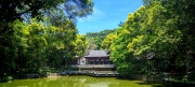Thumbnail of pic_Cindy_Tse_043.jpg