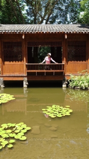 Thumbnail of pic_Derek_Wong_101.jpg
