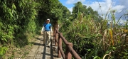 Thumbnail of pic_CW_Ho_002.jpg