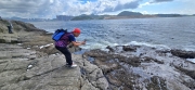 Thumbnail of pic_CW_Ho_018.jpg