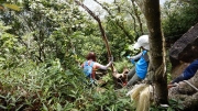 Thumbnail of pic_CW_Ho_049.JPG