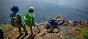 Thumbnail of pic_Cindy_Tse_001.jpg