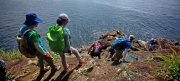 Thumbnail of pic_Cindy_Tse_002.jpg