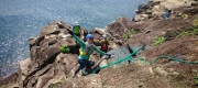 Thumbnail of pic_Cindy_Tse_012.jpg