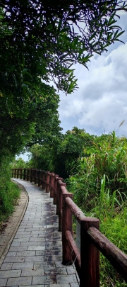 Thumbnail of pic_Cindy_Tse_013.jpg