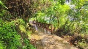 Thumbnail of pic_Derek_Wong_002.jpg