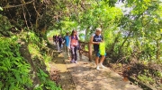 Thumbnail of pic_Derek_Wong_003.jpg
