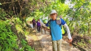 Thumbnail of pic_Derek_Wong_004.jpg