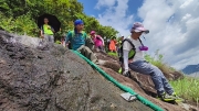 Thumbnail of pic_Derek_Wong_010.jpg