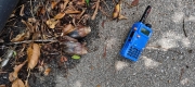 Thumbnail of pic_Derek_Wong_030.jpg