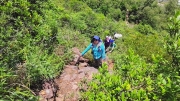 Thumbnail of pic_Derek_Wong_051.jpg