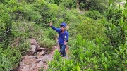 Thumbnail of pic_Derek_Wong_054.jpg