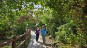 Thumbnail of pic_KL_Sin_002.jpg