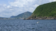 Thumbnail of pic_KL_Sin_017.jpg