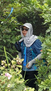 Thumbnail of pic_KL_Sin_033.jpg
