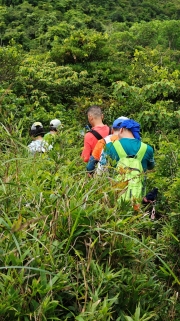 Thumbnail of pic_KL_Sin_036.jpg