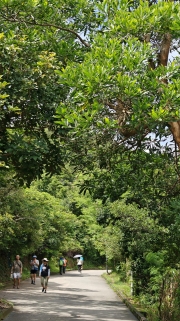 Thumbnail of pic_KL_Sin_041.jpg
