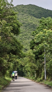 Thumbnail of pic_KL_Sin_042.jpg