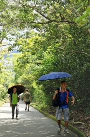 Thumbnail of pic_KL_Sin_044.jpg