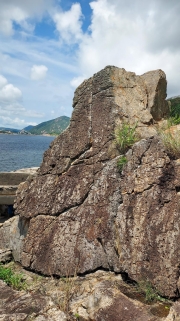 Thumbnail of pic_KW_Ip_046.jpg