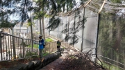 Thumbnail of pic_KW_Ip_066.jpg