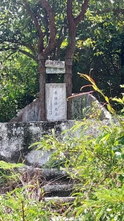 Thumbnail of pic_KW_Ip_067.jpg
