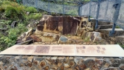 Thumbnail of pic_KW_Ip_072.jpg