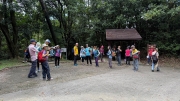 Thumbnail of pic_CL_Yip_033.jpg
