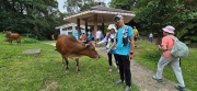 Thumbnail of pic_CW_Ho_018.jpg
