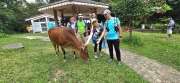 Thumbnail of pic_CW_Ho_019.jpg