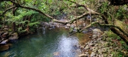 Thumbnail of pic_Cindy_Tse_005.jpg