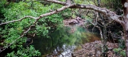 Thumbnail of pic_Cindy_Tse_006.jpg