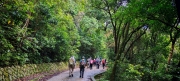 Thumbnail of pic_Cindy_Tse_007.jpg