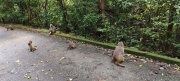 Thumbnail of pic_Derek_Wong_006.jpg