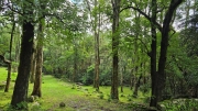Thumbnail of pic_KW_Li_005.jpg