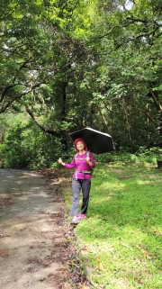 Thumbnail of pic_KW_Li_010.jpg
