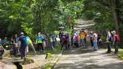 Thumbnail of pic_KW_Li_011.jpg