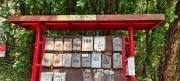 Thumbnail of pic_Derek_Wong_001.jpg