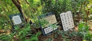 Thumbnail of pic_Derek_Wong_008.jpg