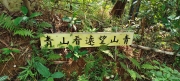 Thumbnail of pic_Derek_Wong_010.jpg
