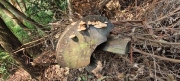 Thumbnail of pic_Derek_Wong_016.jpg